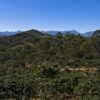 Aperçu de la région de Barahona où est cultivé la café Iguana