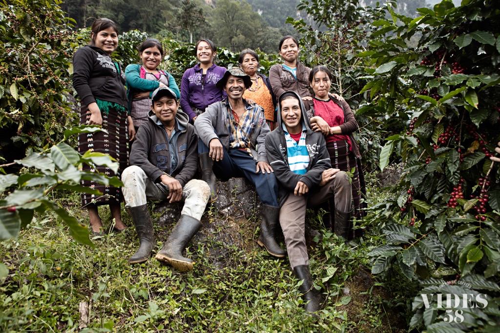 Des cueilleurs travaillant pour l'entreprise "Vides 58" dans une des plantations caféières, produisant le café La Mochilita au Guatemala.