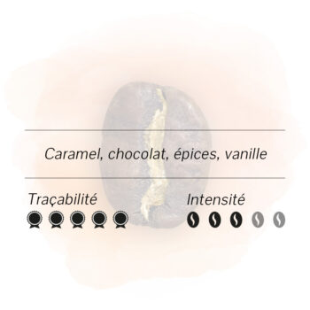 Café région huehuetenango, notes caramel chocolat épices vanille, traçabilité 5/5, intensité 3/5