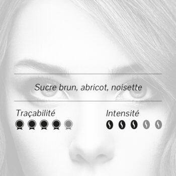 Visage stylisé avec des informations sur le café : notes de sucre brun, abricot, noisette, traçabilité et intensité