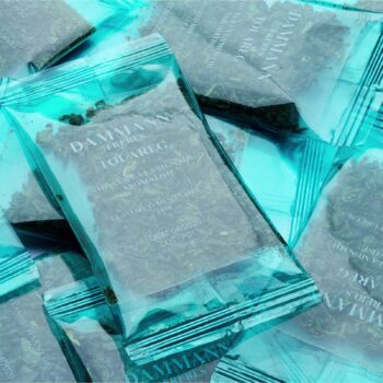Plusieurs sachets de thé glacé Dammann Frères Menthe Touareg dans leur emballage transparent, révélant le thé vert et les feuilles de menthe