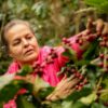 Productrice du café Ceiba regardant l'état de ses plantations