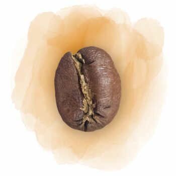 Illustration du café Espirito Santo Muriqui