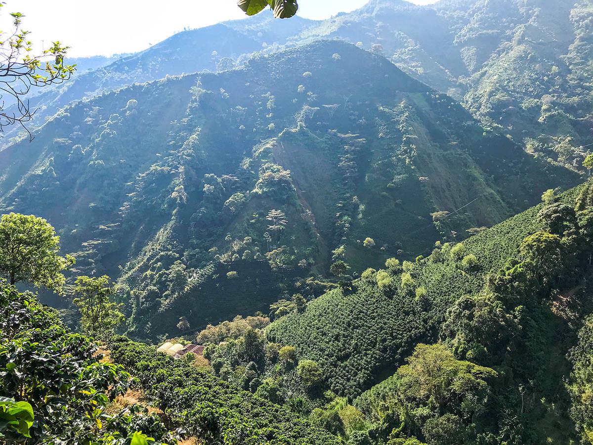 Image d'un paysage de la région de Tolima, où est produit le café Fabrica