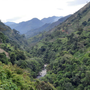 Vallée verdoyante en Colombie avec une rivière sinueuse, montagnes couvertes de végétation luxuriante et quelques maisons perchées sur les pentes, évoquant l'origine du café Fabrica BIO