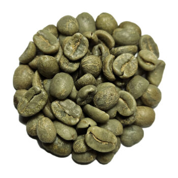Gros plan sur des grains de café vert non torréfiés Cafés Querry du Costa Rica sur fond blanc