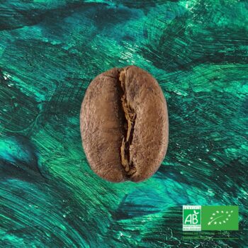Illustration du café Oasis