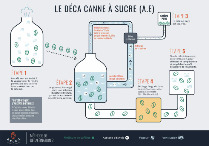 Schéma expliquant de manière graphique et textuelle, le procédé pour la décaféination canne à sucre
