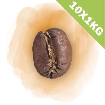 Illustration du café Brésil Muriqui 10kg