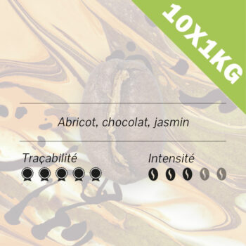 Illustration caractéristiques café Ethiopie - Sidama - Nyala Nibret Alamu 10kg