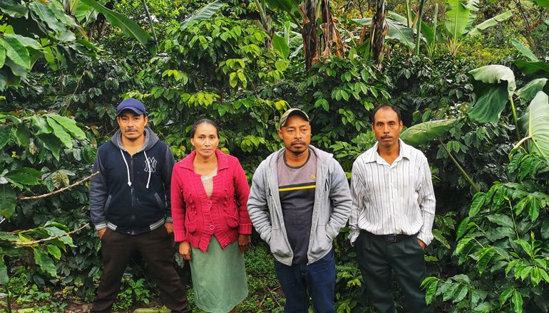 Producteurs de café au sein de la coopérative GRAPOS