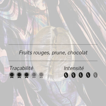 Grain de café doré avec notes fruits rouges, prune, chocolat, sur fond irisé pour le Costa Rica Tarrazú