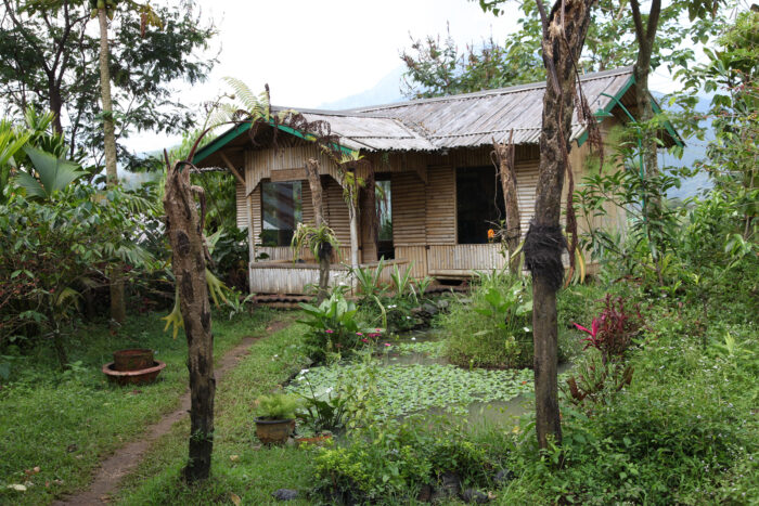 Cabane typique de l'île de Java, à proximité des champs de café. Univers verdoyant avec un petit étang en premier plan.