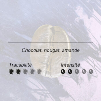 Grain de café Brésil Chapada illustré avec notes chocolat nougat amande