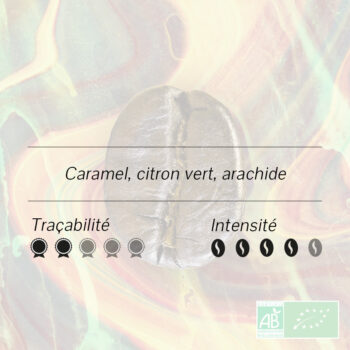 Grain de café torréfié Pérou Pacha bio avec notes caramel, citron vert, arachide et logo AB.