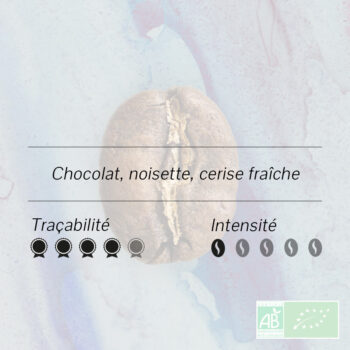 Grain de café décaféiné Pérou bio sur fond bleu rose, avec notes de chocolat, noisette et cerise.