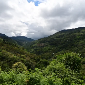 Vaste paysage de montagnes recouvertes d'une forêt tropicale dense sous un ciel nuageux, illustrant la culture du café en haute altitude