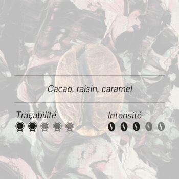 Grain de café Colombie Huila Cumbre, arômes cacao raisin caramel, sceaux traçabilité et intensité
