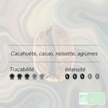 Grain de café Guatemala Coban Alta Verapaz biologique, notes de cacahuète et cacao, intensité douce