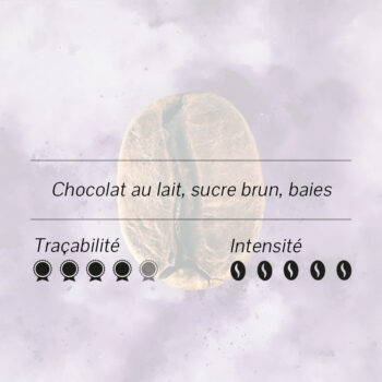 Grosse graine de café torréfiée avec des indications de notes de chocolat au lait, sucre brun, baies, traçabilité et intensité