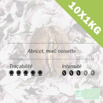 Gros plan sur un grain de café torréfié, avec des mentions d'abricot, miel, noisette, traçabilité et intensité 3/5