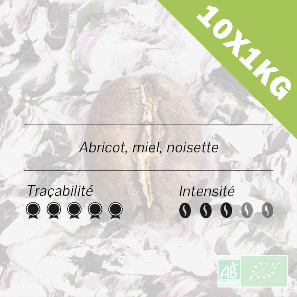 Gros plan sur un grain de café torréfié, avec des mentions d'abricot, miel, noisette, traçabilité et intensité 3/5