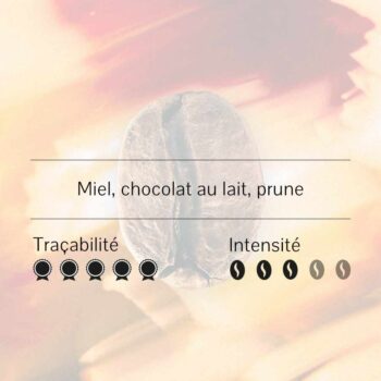 Gros plan d'un grain de café avec les mentions 'Miel, chocolat au lait, prune', 'Traçabilité' (4 sceaux) et 'Intensité' (1 grain de café sur 5)