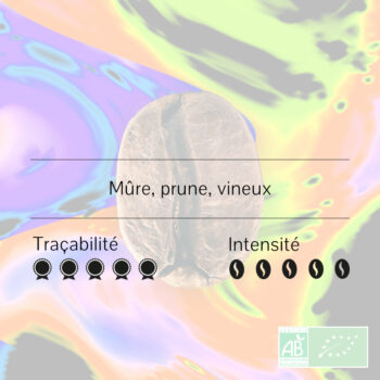 Colombie - Aratoca - La Pradera, Bourbon Rose