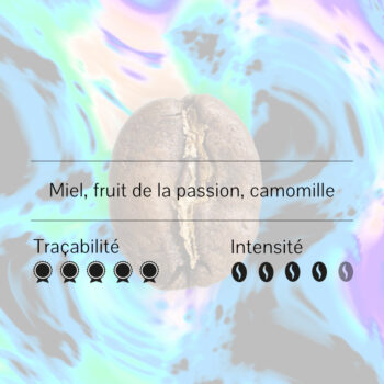 Graine de café Wush Wush avec des notes aromatiques de miel, fruit de la passion et camomille, traçabilité 5/5 et intensité 4/5