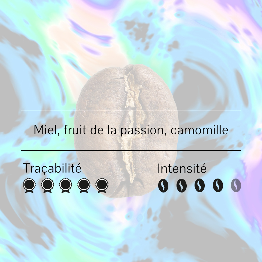 Graine de café Wush Wush avec des notes aromatiques de miel, fruit de la passion et camomille, traçabilité 5/5 et intensité 4/5