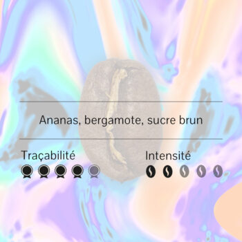 Graine de café torréfiée avec des notes aromatiques d'ananas, bergamote et sucre brun, sur un fond abstrait aux couleurs pastel
