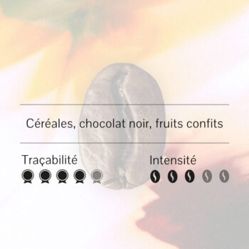Gros plan d'un grain de café torréfié avec des indications de notes de dégustation : céréales, chocolat noir, fruits confits, traçabilité 4/5 et intensité 3/5.