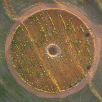 Vue aérienne d'une plantation de café circulaire dans le Cerrado brésilien, avec un puits central et des rangées de jeunes plants