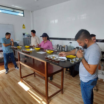 Plusieurs personnes participent à une dégustation de café, examinant des échantillons dans des bols sur une longue table, lors d'une formation sur le café.