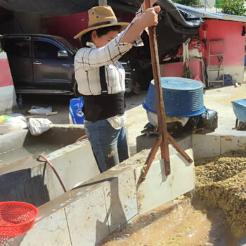 Une femme portant un chapeau de paille et des bretelles remue une pâte de café dans un grand bac en béton, processus de lavage du café