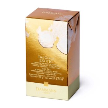 Boîte de thé glacé Dammann Frères Exotic, fond doré métallisé, 6 sachets XL, saveurs fruits exotiques et cacaotée