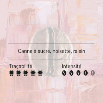 Gros plan sur un grain de café avec des indications de notes aromatiques : canne à sucre, noisette, raisin, et une échelle d'intensité.