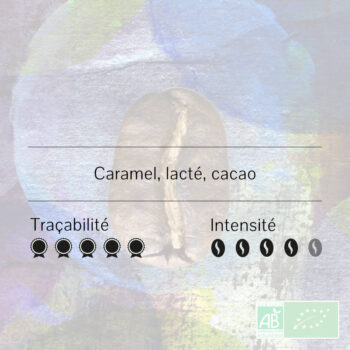 Gros plan d'un grain de café Honduras Marcala Ceiba Honey, avec les mentions 'Caramel, lacté, cacao', 'Traçabilité' et 'Intensité' accompagnées d'icônes.