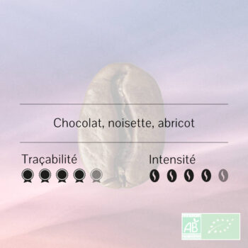Graine de café unique avec des notes de chocolat, noisette et abricot, indiquant une traçabilité élevée et une intensité moyenne.