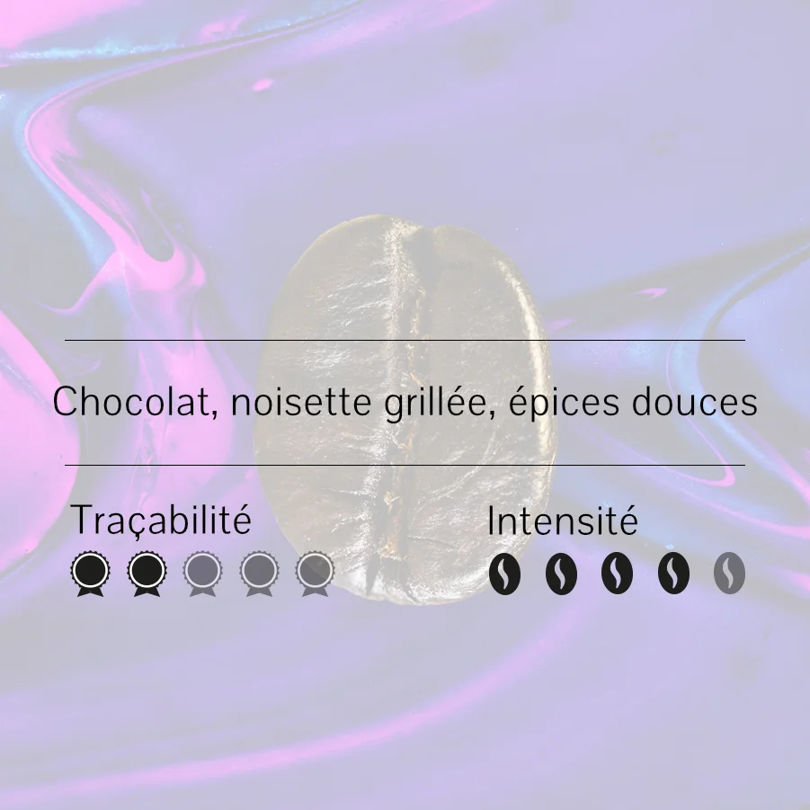Graine de café unique sur fond abstrait aux couleurs vives, avec des indications de notes de chocolat, noisette grillée, épices douces, traçabilité et intensité.