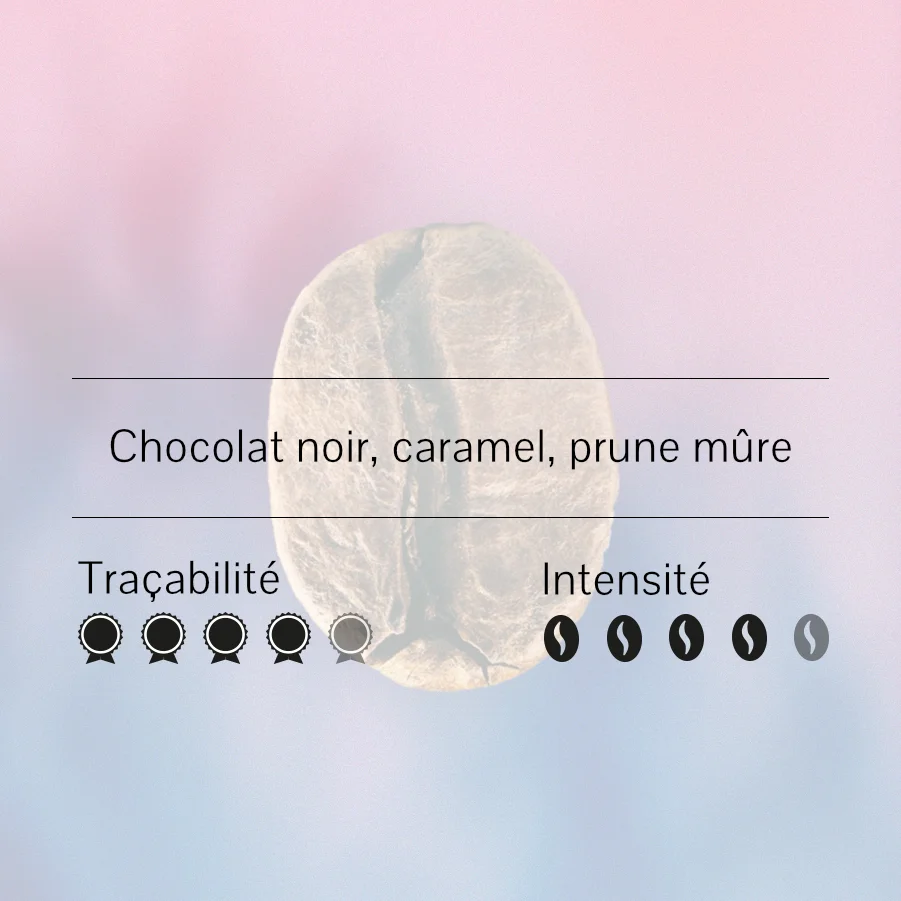Gros plan d'un grain de café éthiopien avec des notes de chocolat noir, caramel et prune mûre, indiquant une intensité de 4/5 et une traçabilité de 4/5