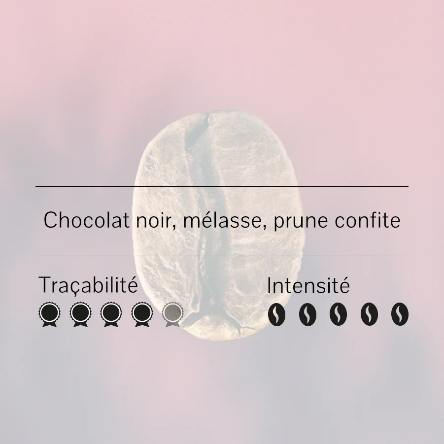 Graine de café unique avec des annotations textuelles : 'Chocolat noir, mélasse, prune confite', 'Traçabilité' avec 4 médailles, et 'Intensité' avec 5 symboles.