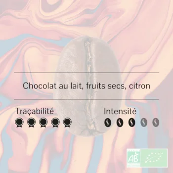 Gros plan d'un grain de café avec les notes aromatiques chocolat au lait, fruits secs et citron, noté pour sa traçabilité et son intensité bio
