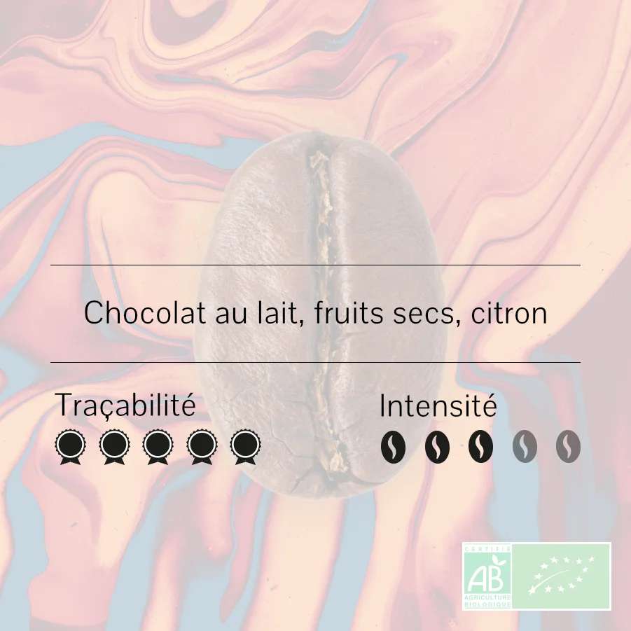 Gros plan d'un grain de café avec les notes aromatiques chocolat au lait, fruits secs et citron, noté pour sa traçabilité et son intensité bio