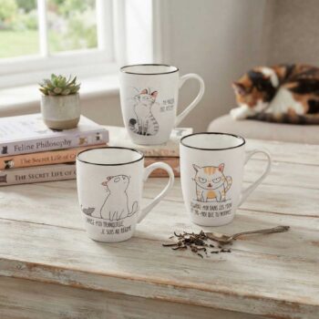 Trois tasses en céramique illustrées de chats humoristiques sur une table en bois, accompagnées de livres Feline Philosophy et d'une plante grasse
