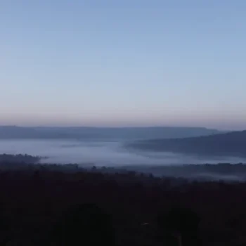 Vallée forestière recouverte d'une nappe de brume matinale sous un ciel bleu clair, évoquant la sérénité des paysages naturels