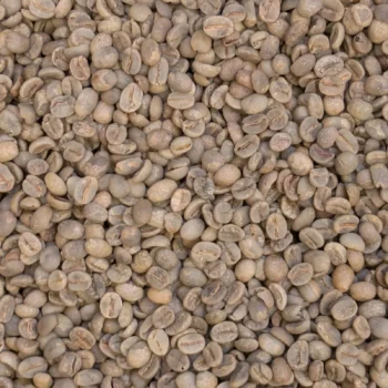 Grains verts non torréfiés en gros plan, issus du café Veludo du Cerrado brésilien.