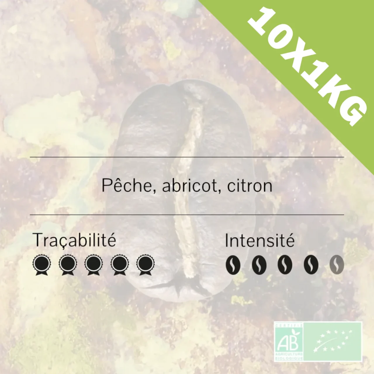Éthiopie - Jimma - Gera BIO - Torréfaction légère 10x1kg