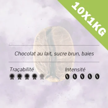 Éthiopie - Jimma - Gomma Forest BIO 10x1kg