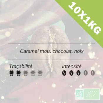Honduras - Terroirs de l'ouest - Cortes BIO 10x1kg